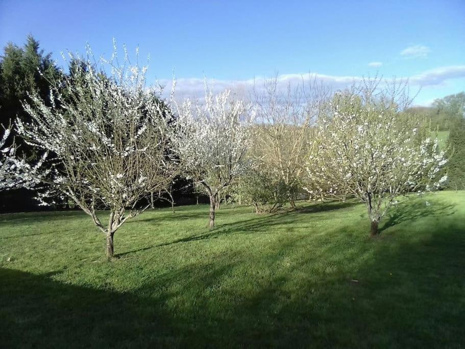 Villa Dependance Pour 1 A 4 Pers Au Calme Dans Propriete Marboz Esterno foto