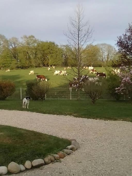 Villa Dependance Pour 1 A 4 Pers Au Calme Dans Propriete Marboz Esterno foto