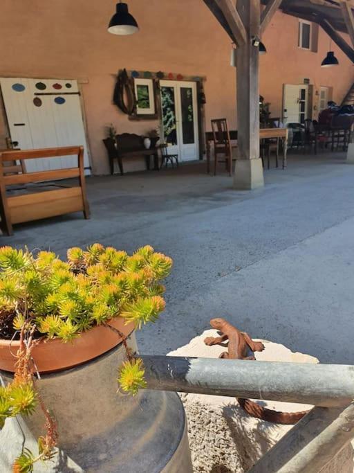 Villa Dependance Pour 1 A 4 Pers Au Calme Dans Propriete Marboz Esterno foto